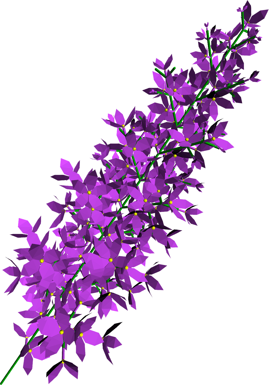 Download PNG image - Lilac PNG Transparent 