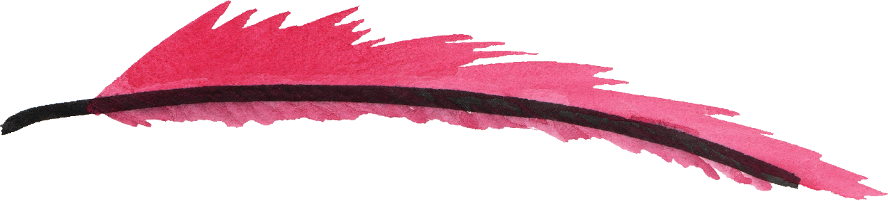 Download PNG image - Pink Feather PNG Transparent HD Photo 