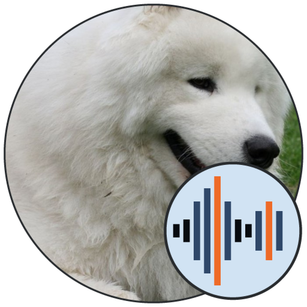 Download PNG image - Samoyed Dog PNG Isolated File 