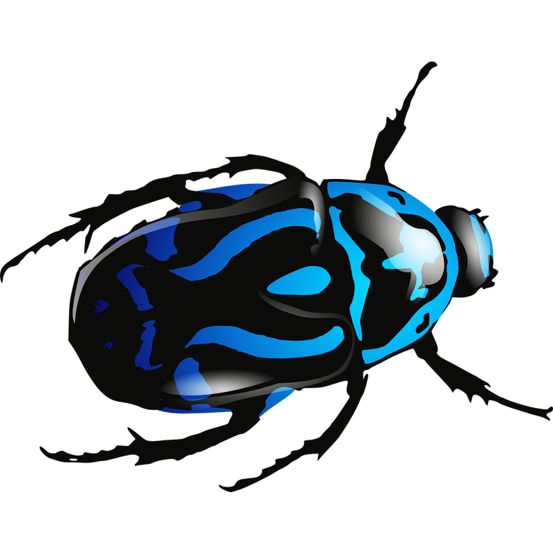 Download PNG image - Tick Insect PNG Isolated Clipart 