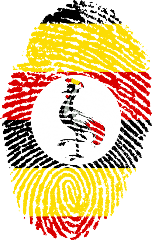 Download PNG image - Uganda Flag PNG Isolated Pic 