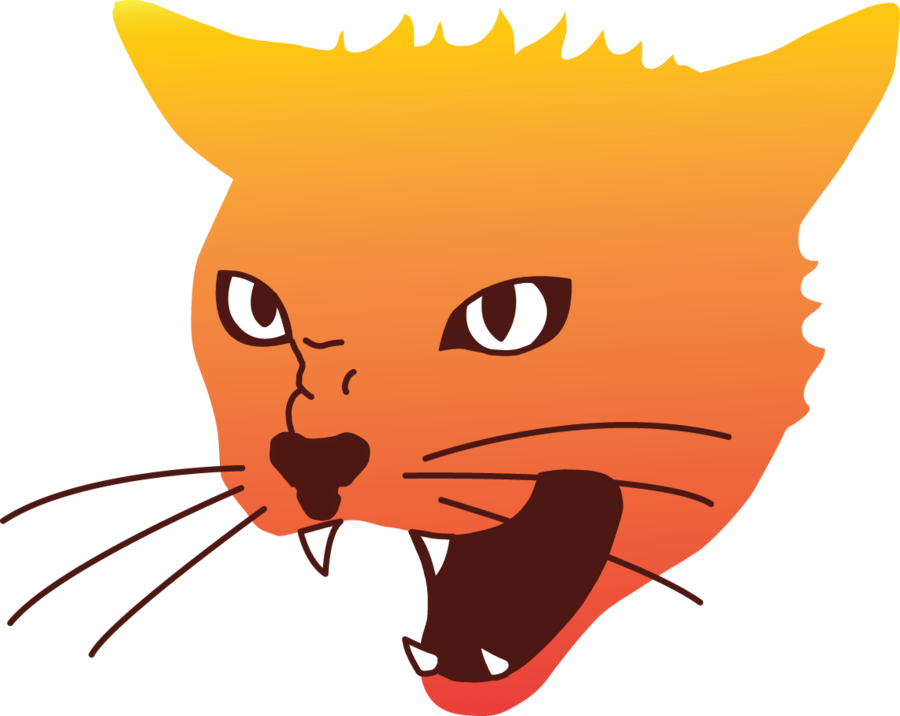 Download PNG image - Angry Cat PNG File 