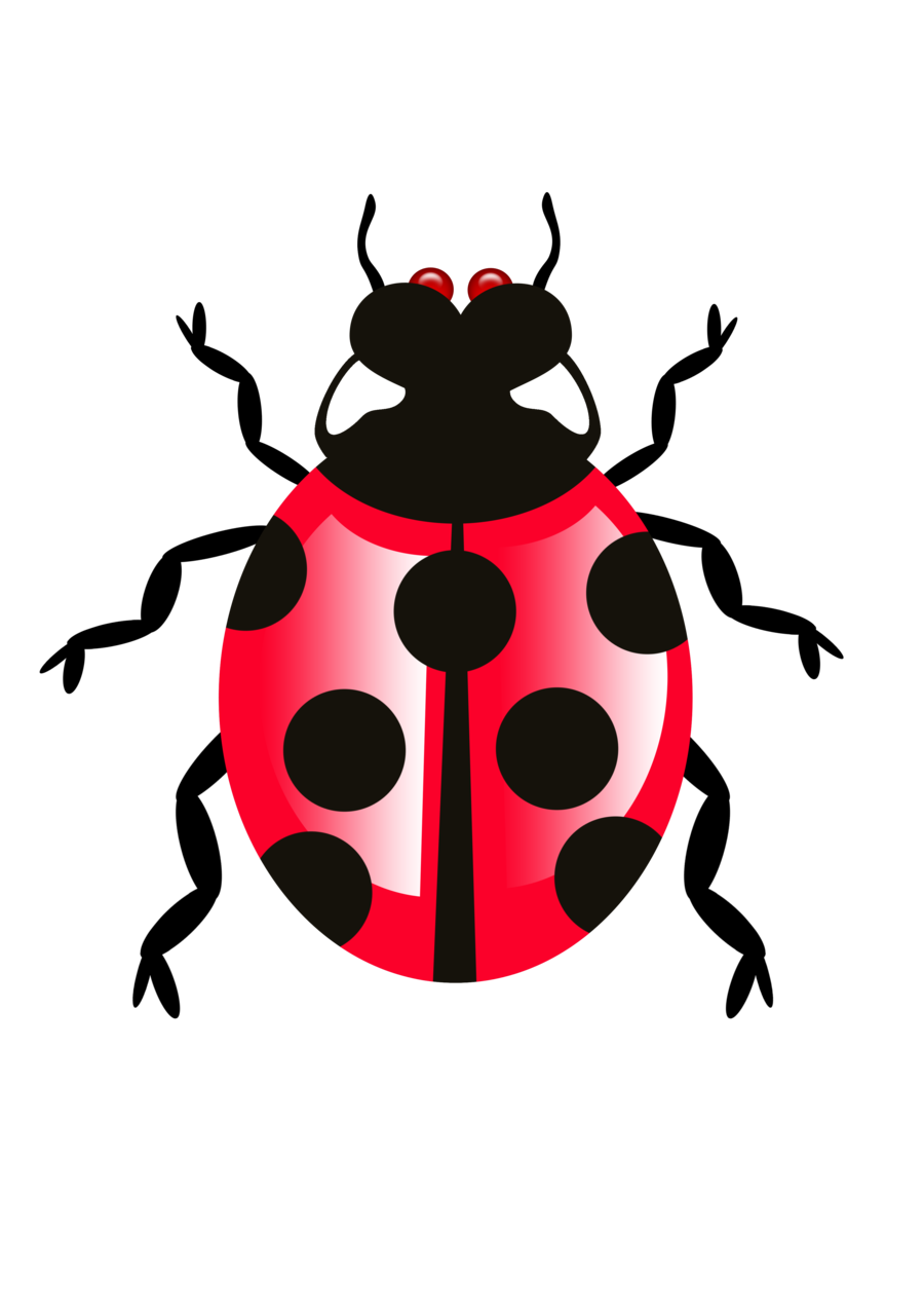 Download PNG image - Bug Icon Transparent PNG 