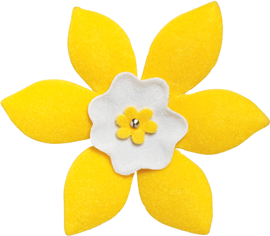 Download PNG image - Daffodil PNG Isolated Image 