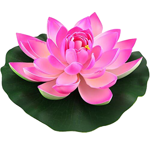 Download PNG image - Pink Lotus Flower PNG Transparent Image 