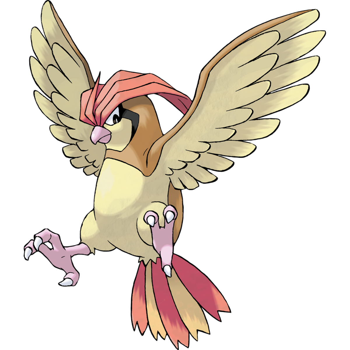 Download PNG image - Pidgeotto Pokemon PNG Clipart 