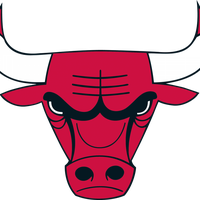 Bulls Logo PNG HD