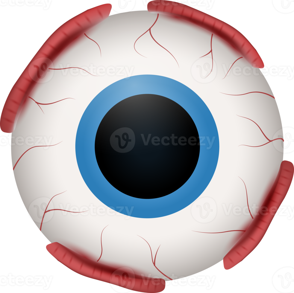 Download PNG image - Eye Ball PNG Isolated HD 