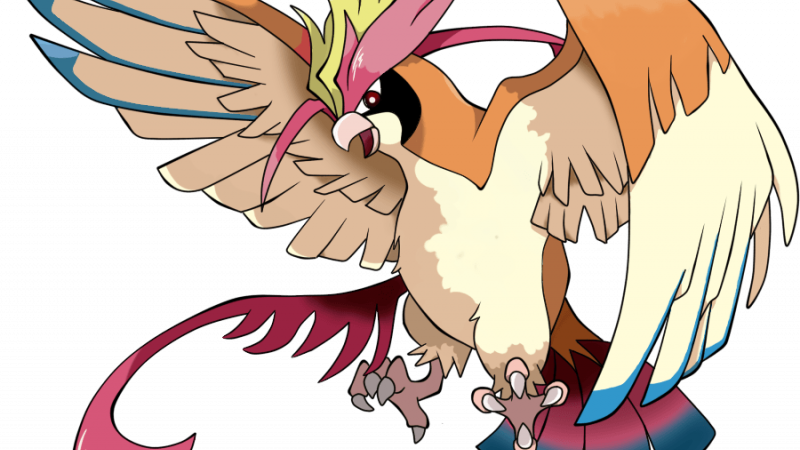 Download PNG image - Pidgeotto Pokemon PNG File 