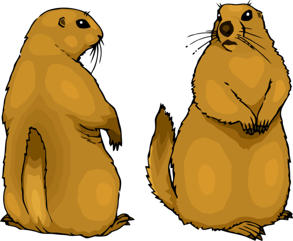 Download PNG image - Gopher PNG 