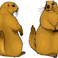 Gopher PNG