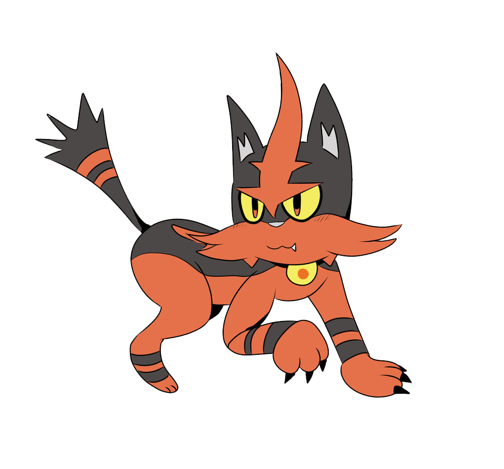 Download PNG image - Torracat Pokemon PNG Picture 