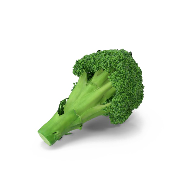 Download PNG image - Broccoli PNG Transparent Image 