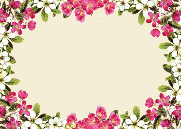 Download PNG image - Pink Flower Frame PNG Photos 