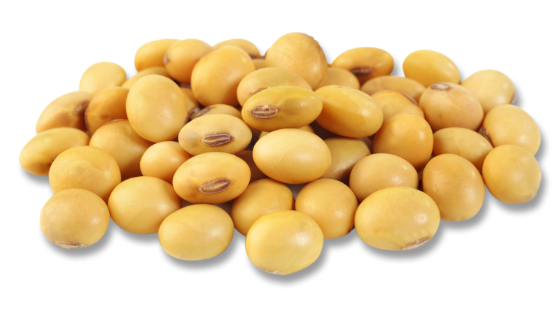 Download PNG image - Soybeans PNG Image 