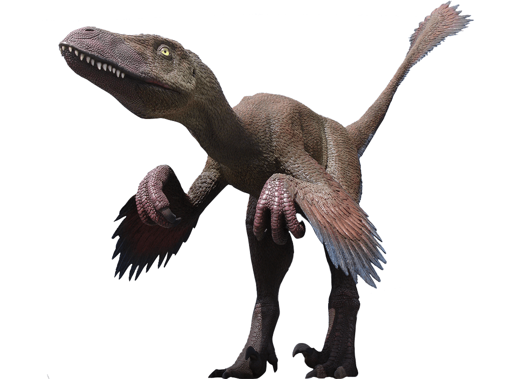 Download PNG image - Velociraptor PNG Clipart 