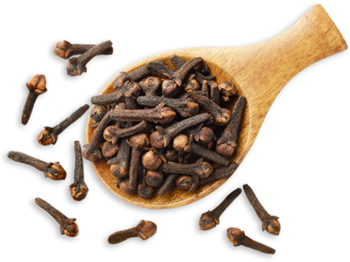 Download PNG image - Clove PNG Isolated Image 