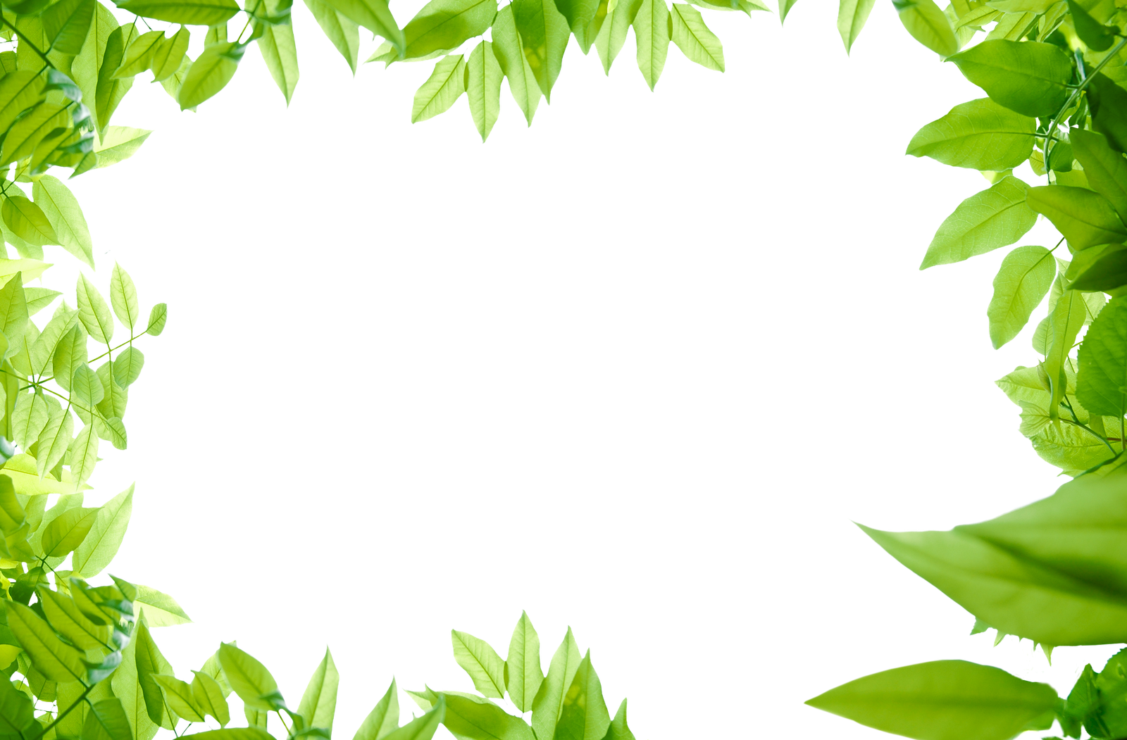 Download PNG image - Leaves Border PNG Isolated File 