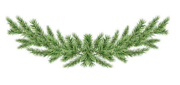 Download PNG image - Pine Branch Background PNG 