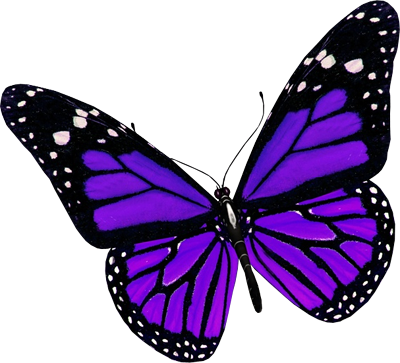 Download PNG image - Purple Butterfly PNG File 