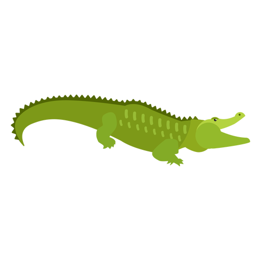 Download PNG image - Vector Alligator Transparent PNG 