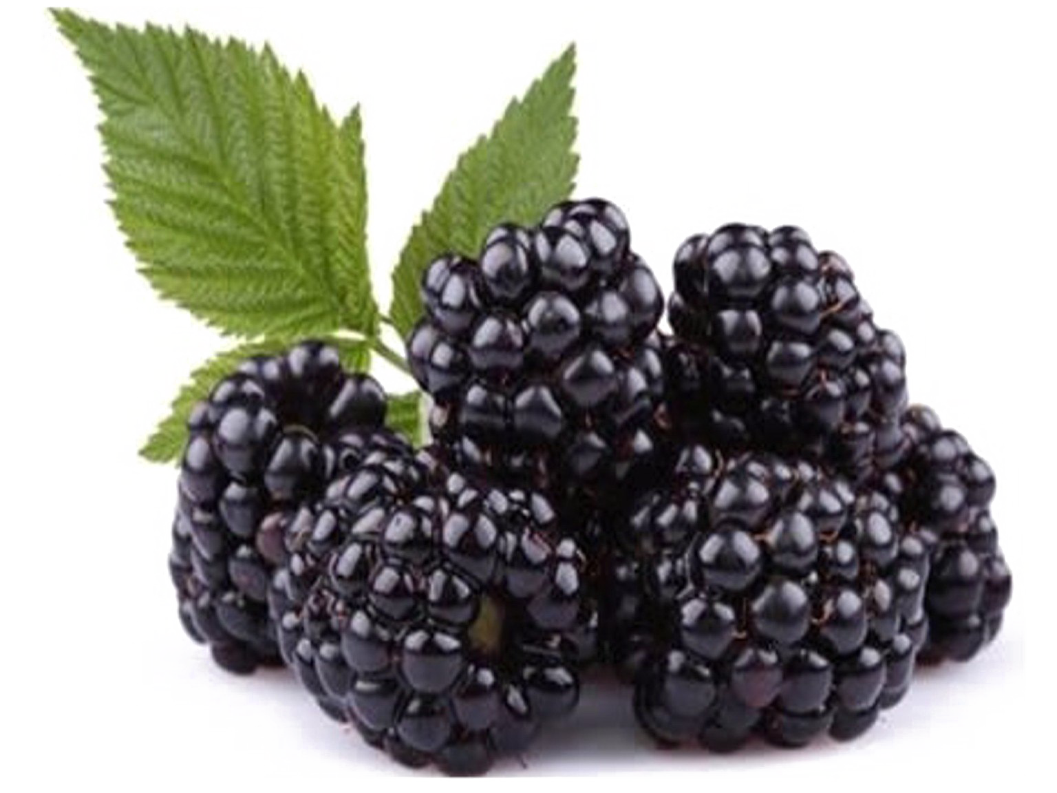 Download PNG image - Blackberry Fruit PNG Free Download 