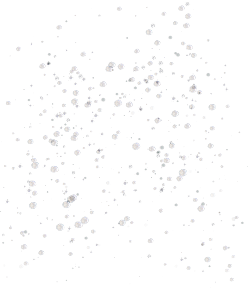 Download PNG image - Bubbles Transparent Background 