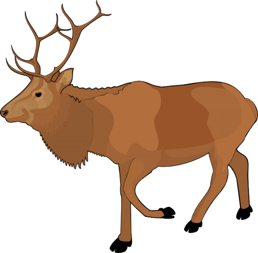 Download PNG image - Elk PNG Isolated Photo 