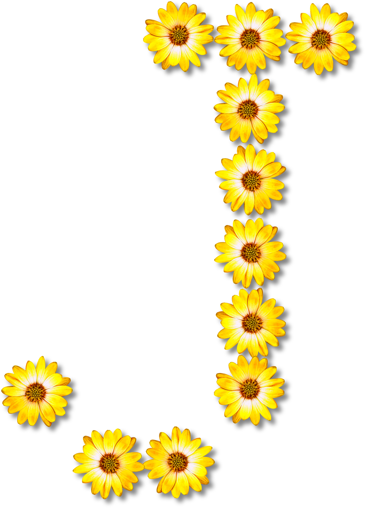 Download PNG image - Flower Alphabet PNG Image 