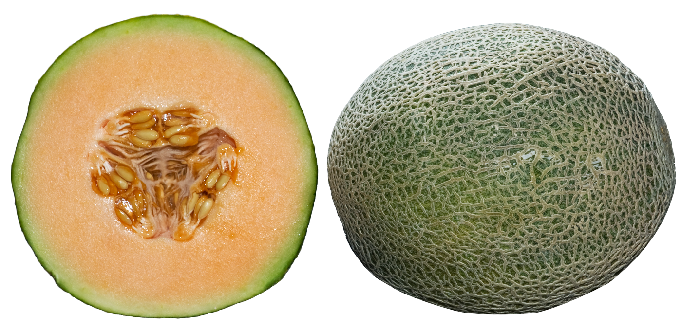 Download PNG image - Fresh Cantaloupe PNG Transparent Image 