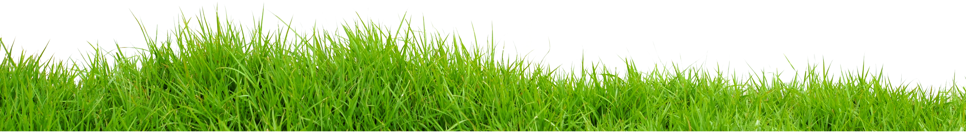Download PNG image - Green Field PNG Photos 