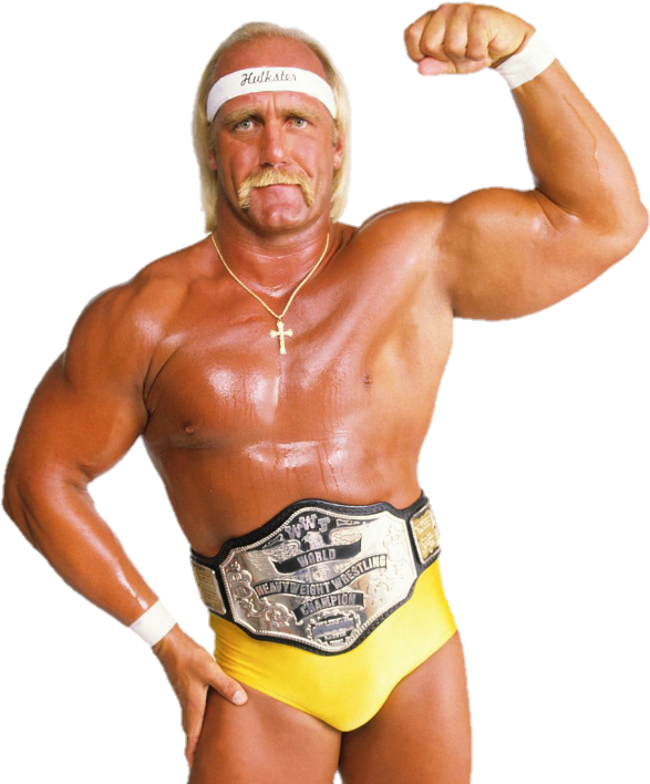 Download PNG image - Hulk Hogan PNG Photos 