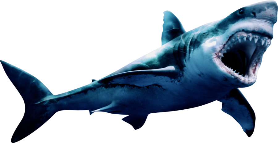 Download PNG image - Megalodon PNG Pic 