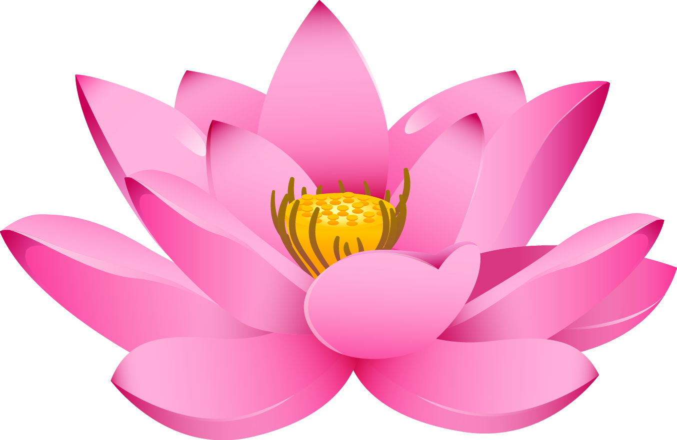 Download PNG image - Pink Lotus Flower PNG File 