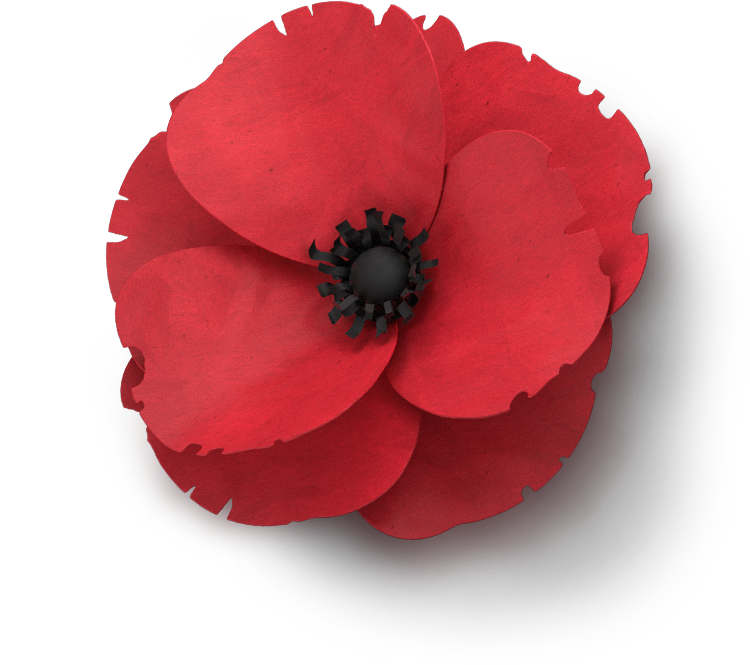 Download PNG image - Poppy PNG HD 