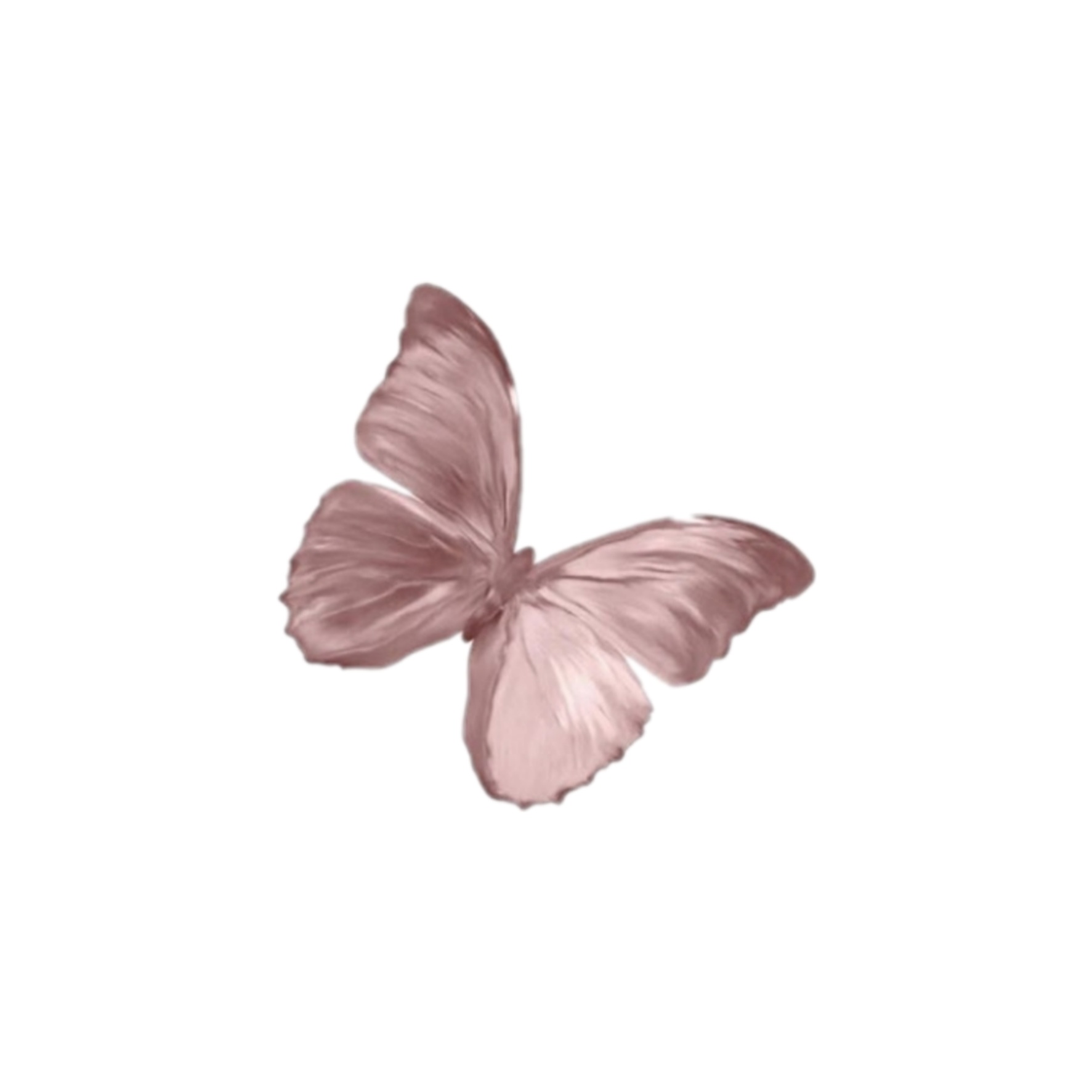 Download PNG image - Aesthetic Theme Butterfly PNG HD Isolated 