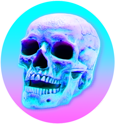 Download PNG image - Aesthetic Theme Skull PNG Isolated Photos 