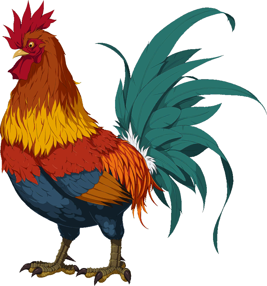Download PNG image - Chicken Bird PNG Isolated Photo 