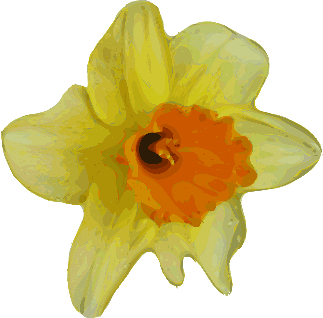 Download PNG image - Daffodil PNG Isolated Photos 