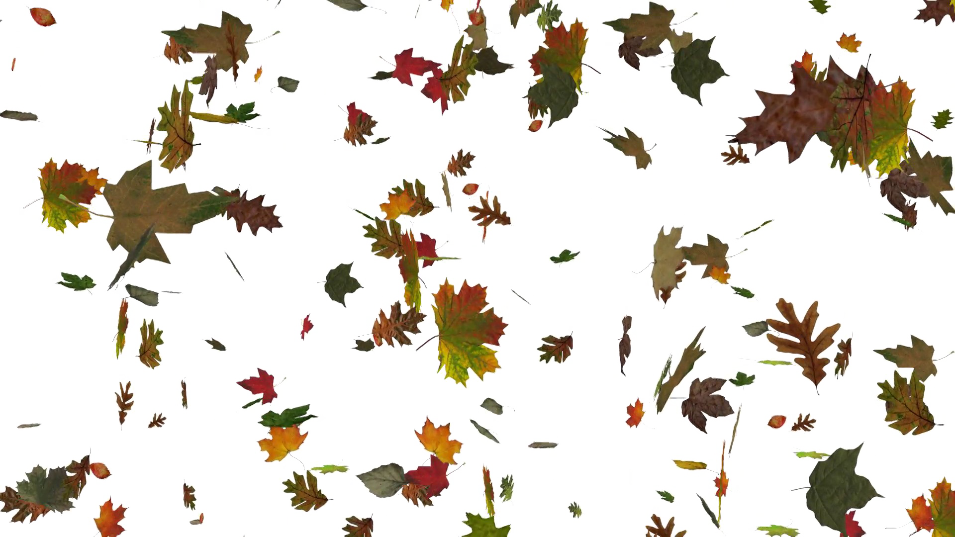 Download PNG image - Falling Leaf PNG Image 