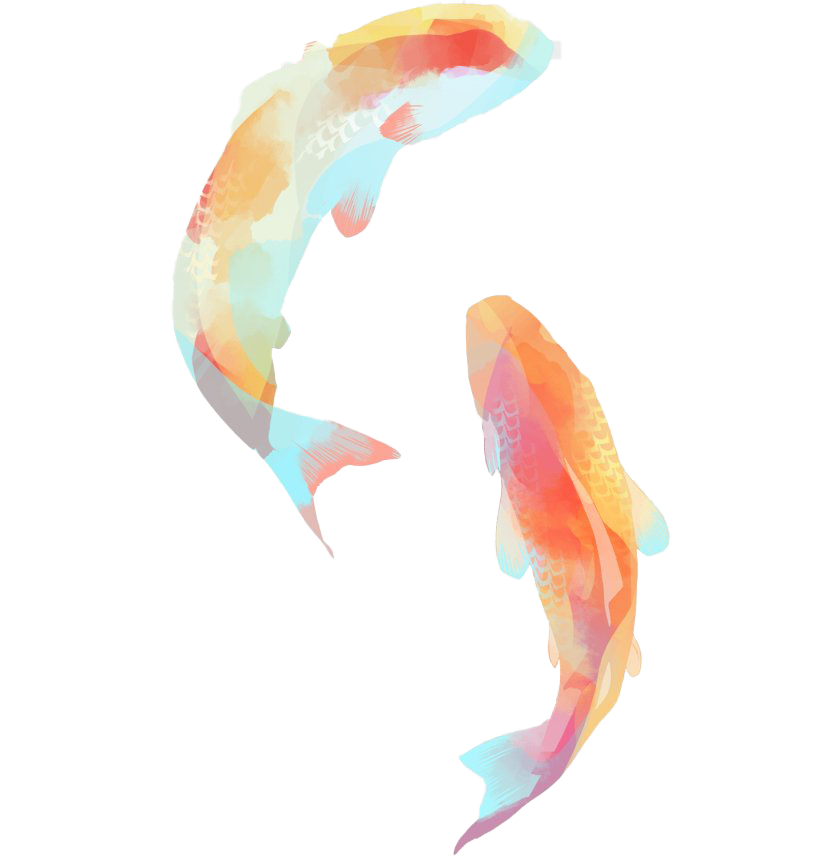 Download PNG image - Golden Koi Fish PNG Clipart 