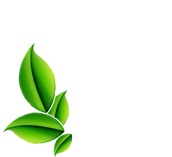 Download PNG image - Leaf Herbs PNG Transparent Image 