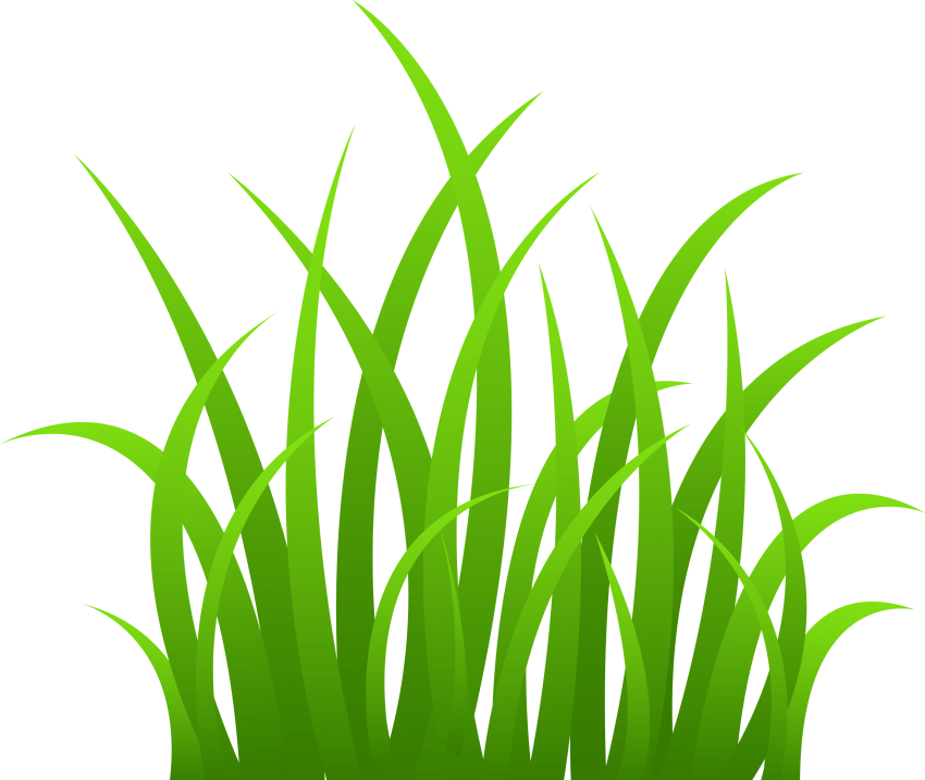 Download PNG image - Natural Grass Vector PNG Transparent Image 