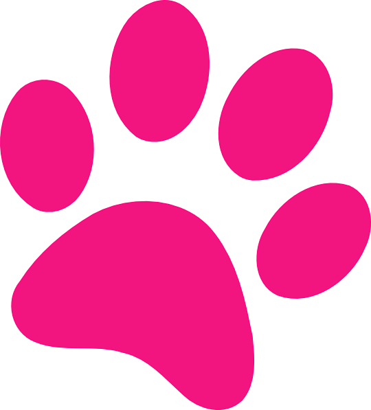 Download PNG image - Paw Print PNG Isolated Pic 