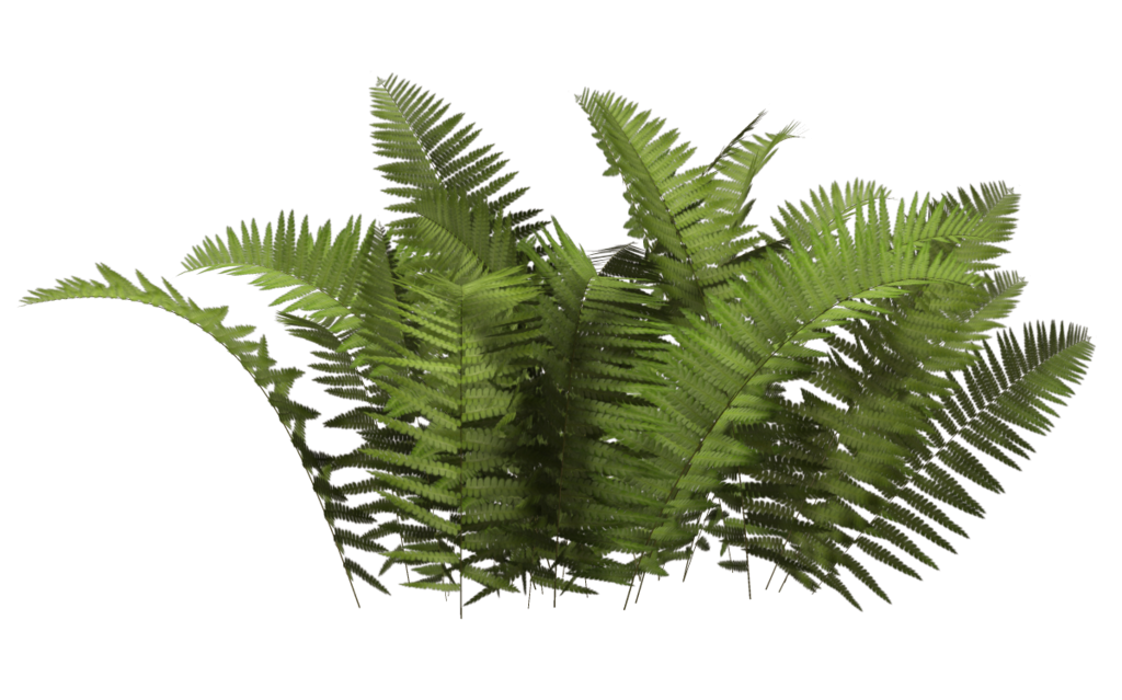 Download PNG image - Plant PNG Free Download 