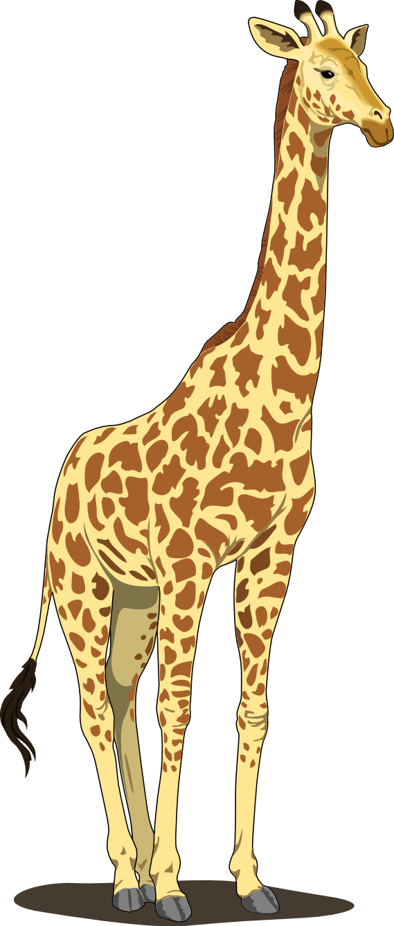 Download PNG image - Small Vector Giraffe PNG Clipart 