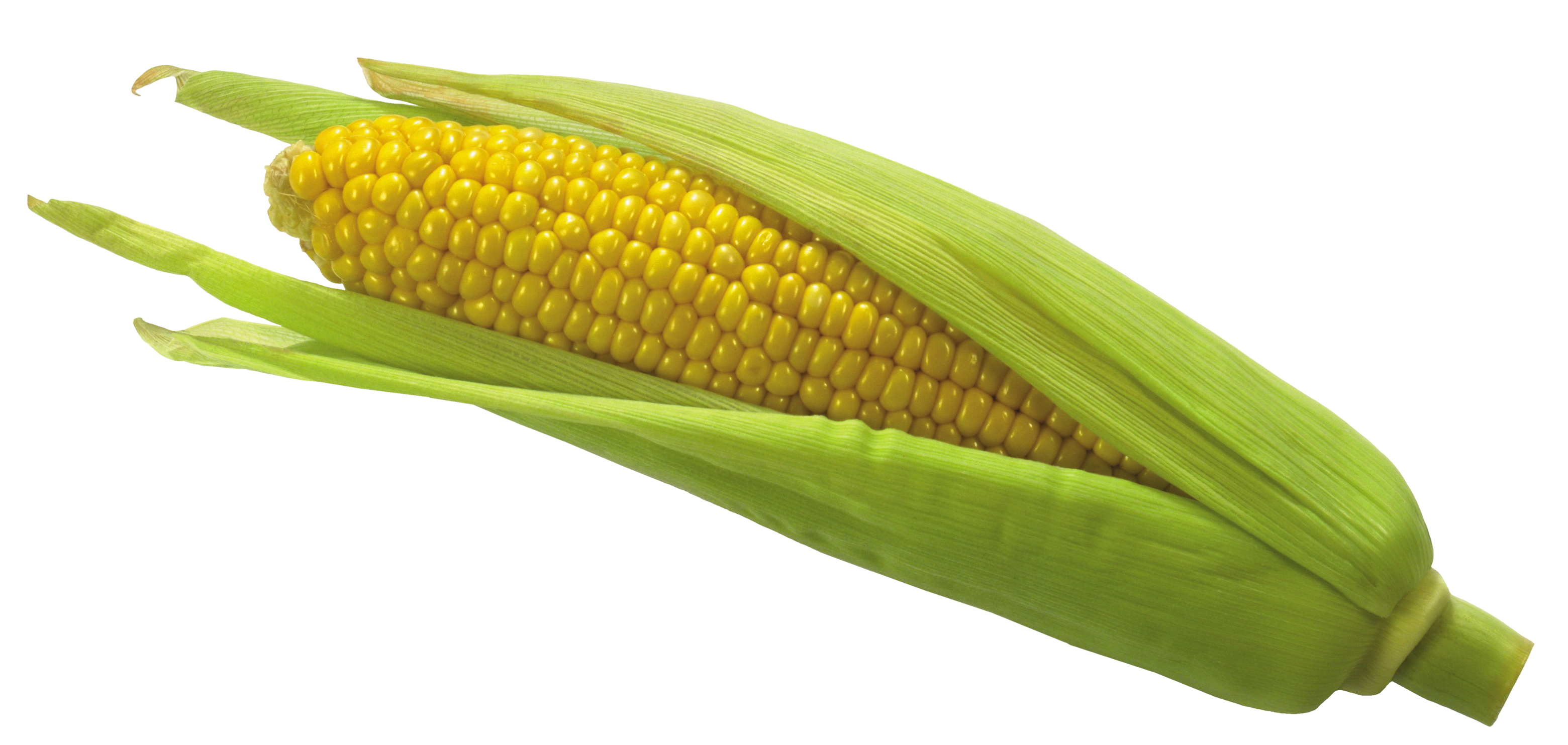 Download PNG image - Transparent Corn PNG 