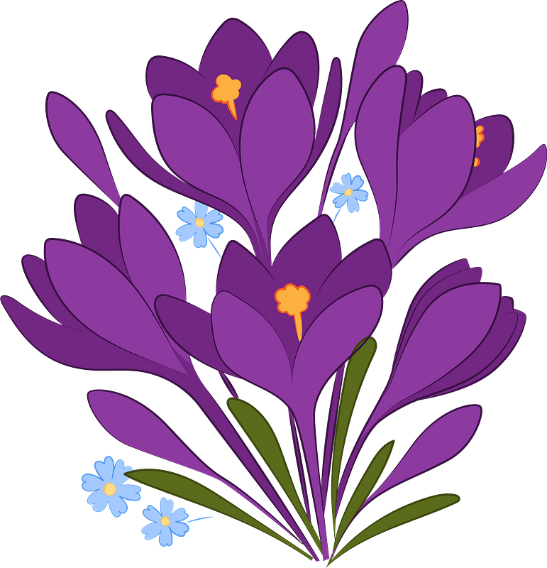 Download PNG image - Vector Spring Flower PNG Picture 