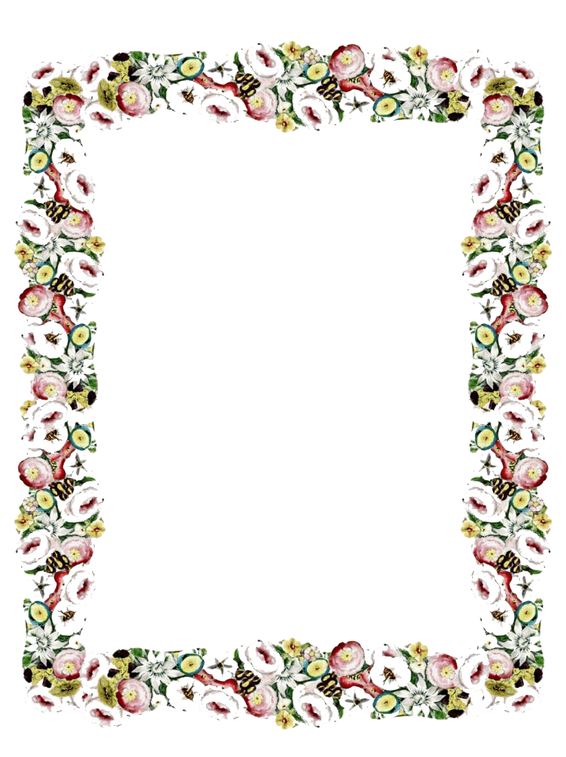 Download PNG image - Vintage Floral Frame PNG Transparent Image 