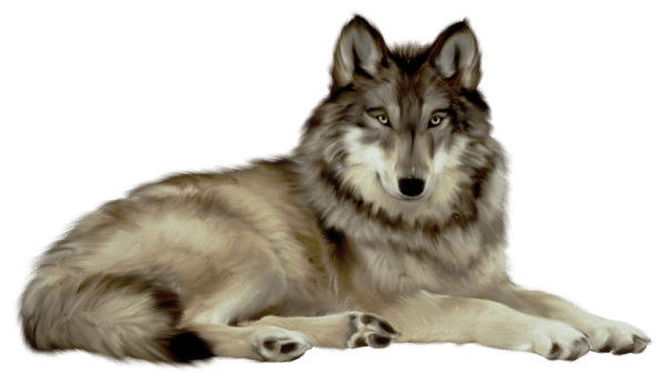 Download PNG image - Wolf Download PNG Image 